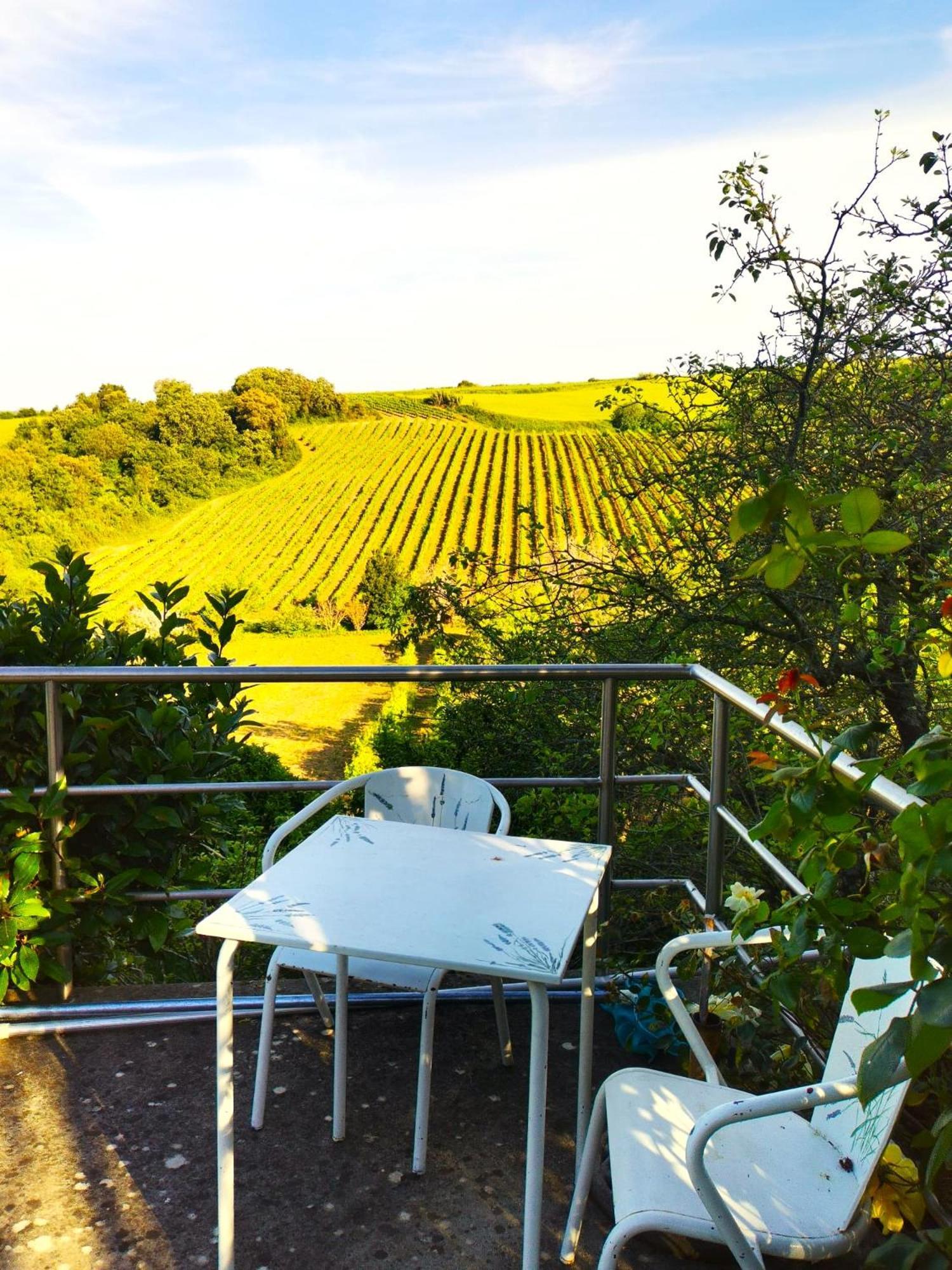 Quinta Santo Antonio Villa Pereiro da Palhacana Eksteriør billede