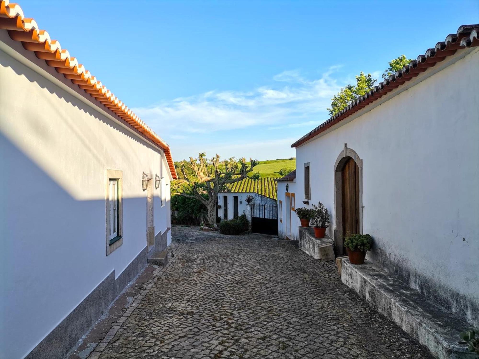 Quinta Santo Antonio Villa Pereiro da Palhacana Eksteriør billede